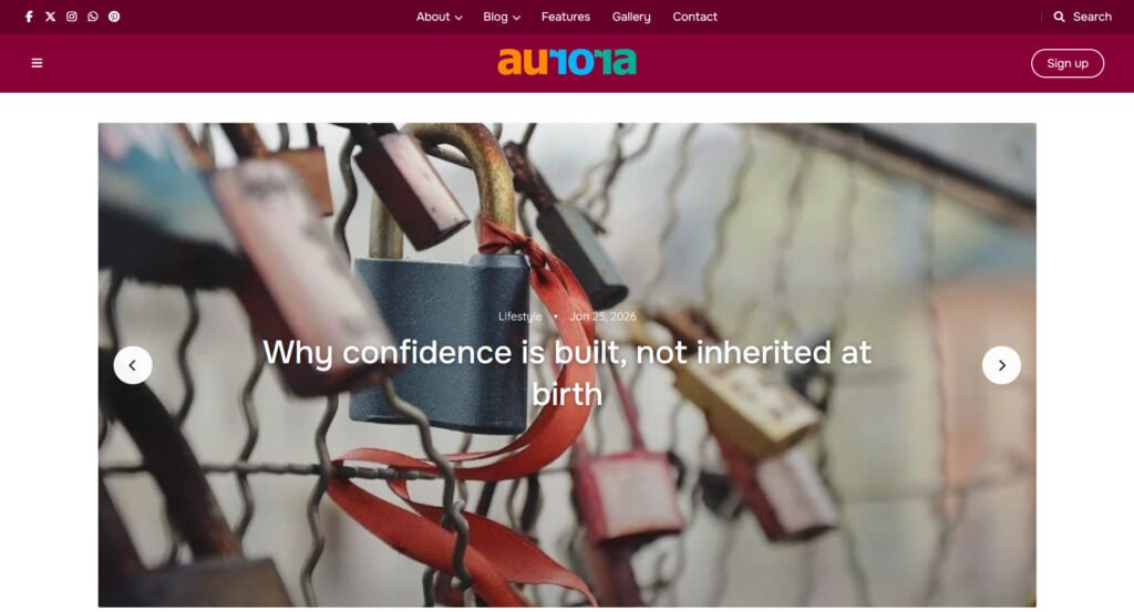 Aurora Flexible WordPress Blogging theme for businesses